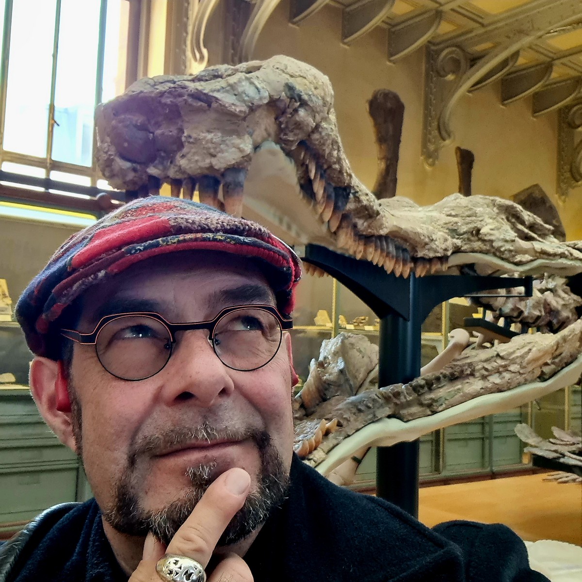 Jean-Luc Marcastel et 2026